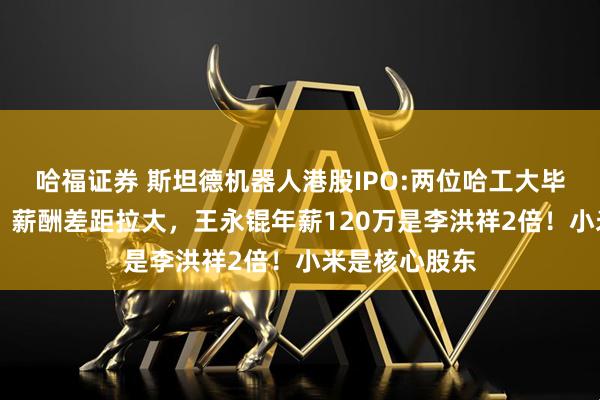 哈福证券 斯坦德机器人港股IPO:两位哈工大毕业90后创立，薪酬差距拉大，王永锟年薪120万是李洪祥2倍！小米是核心股东