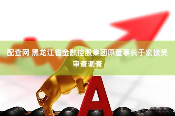 配查网 黑龙江省金融控股集团原董事长于宏接受审查调查
